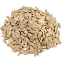 حب كوسة ملح خفيف