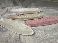 اصداف البحر