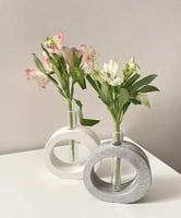 مزهريه انيقه لنبته البامبو بالوان من اختيارك