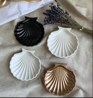 اصداف البحر