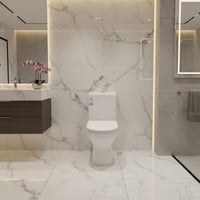 كرسي حمام افرنجي بشطاف