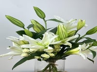 فازة الأناقة البيضاء