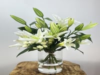 فازة الأناقة البيضاء