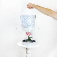 ورد طبيعي دائم وردي