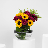 دوار الشمس المبهج