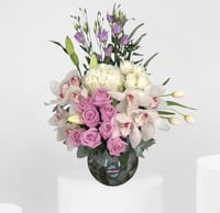 لؤلؤة الربيع