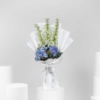 الأزرق النقي