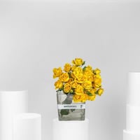 فازة البيبي روز