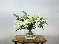 فازة الأناقة البيضاء