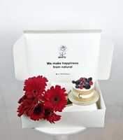 كيك التوت من جاناش معا جربيريا حمراء