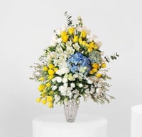 فازة السعادة