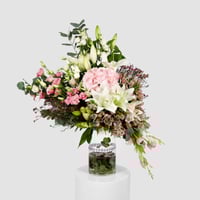 الأمنيات الجميلة