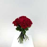 نبض العشق الابدي