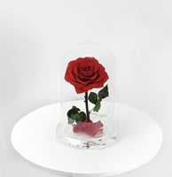 ورد طبيعي دائم احمر