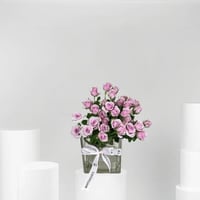 فازة البيبي روز الموف