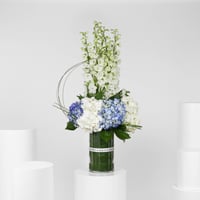 الأزرق المميز