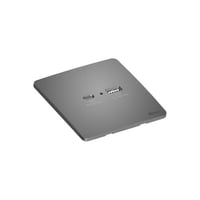 Gray LI901519