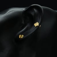 حلق ذهب طبي (E5050)