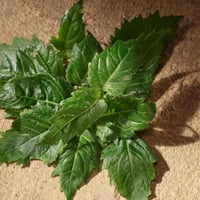 دولتشي اند غابانا ديفوشن بارفان 100مل