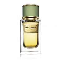 دولتشي أند غابانا فيلفت برغموت 50مل