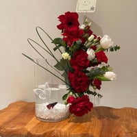 فازة سمكة الفايتر