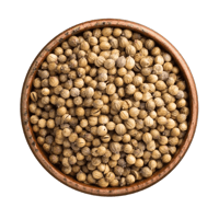 كزبرة حب (حسب الطلب)