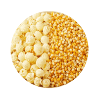 فشار مشروم أمريكي جامبو (حسب الطلب)