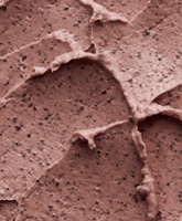 ماسك المسام المنعش بالفاصولياء الحمراء من بيوتي او...