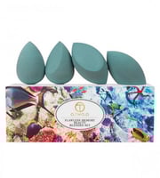 او تو او طقم اسفنجة مكياج ج 4 قطع