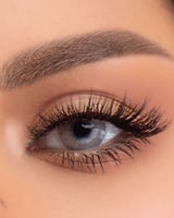 عدسات نيو لنس