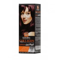 صبغة نيترو كندا 5.2