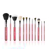 فرش مكياج سيجما 12 فرشة للوجة والعين