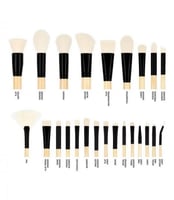 طقم مكون من 24 فرشاة مع حقيبة إلايت من كوستال سينت...