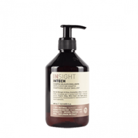 انسايت شامبو للشعر الجاف 400مل