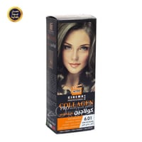 صبغة نيترو كندا 6.01