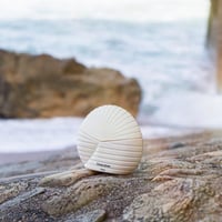 فرانك اوليفر - باريس عطر نسائي - 75 مل