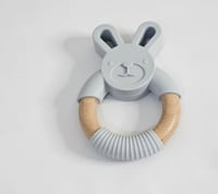 عضاضه اطفال رمادي