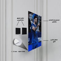 لوحة معدنية ألكسندر ميتروفيتش الهلال السعودي