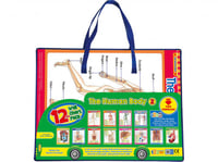 لوحات تعليمية جسم الانسان 2 - انجليزي من 123 ببلشي...