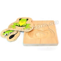 مراحل نمو الضفدع