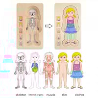 لوحة تطابق جسم البنات 4 طبقات