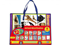 لوحات تعليمية تصنيف الحيوانات - انجليزي من 123 ببل...