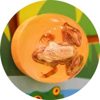 لوحة جدارية خشبية - الحشرات