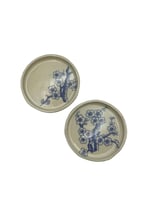 صحن صغير متعدد الاستخدام