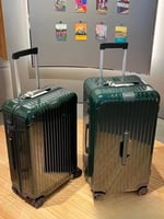 حقيبة ريموا إيسنشيال ترانك بلس اللون الأخضر