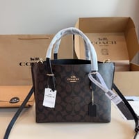 شنطة كوتش مولي توت باق Co138