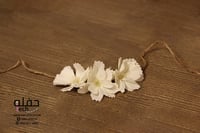 مجموعة توديع العزوبية