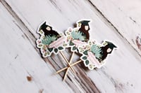 تغريسة - Graduation