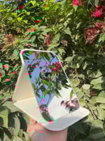 البوكس الجلدي النسائي