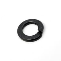 وردة سوستة اسود